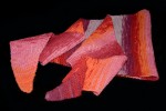 IMG_7634.jpg