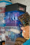 IMG_8338.jpg