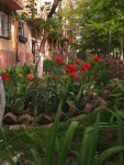 IMG_0694.JPG