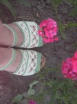 IMG_5316.jpg