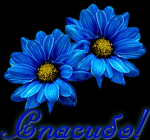83613143_4d8b54cee18e.png