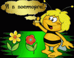 84840051_236977661.gif