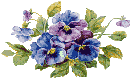 глазки.gif