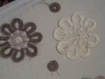 IMG_1224.jpg