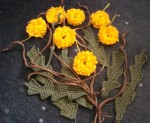 DSC02435-1.jpg