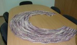 DSC02433.JPG